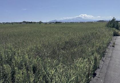 20260218_164429_16485