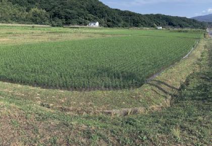 20260218_164953_16501